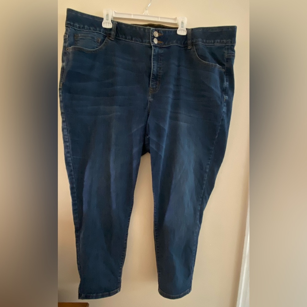Lane Bryant Jeans Size 28